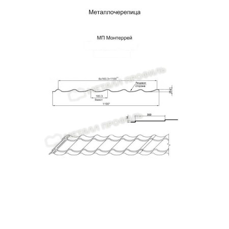 monterrej84